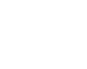 Logo en blanco