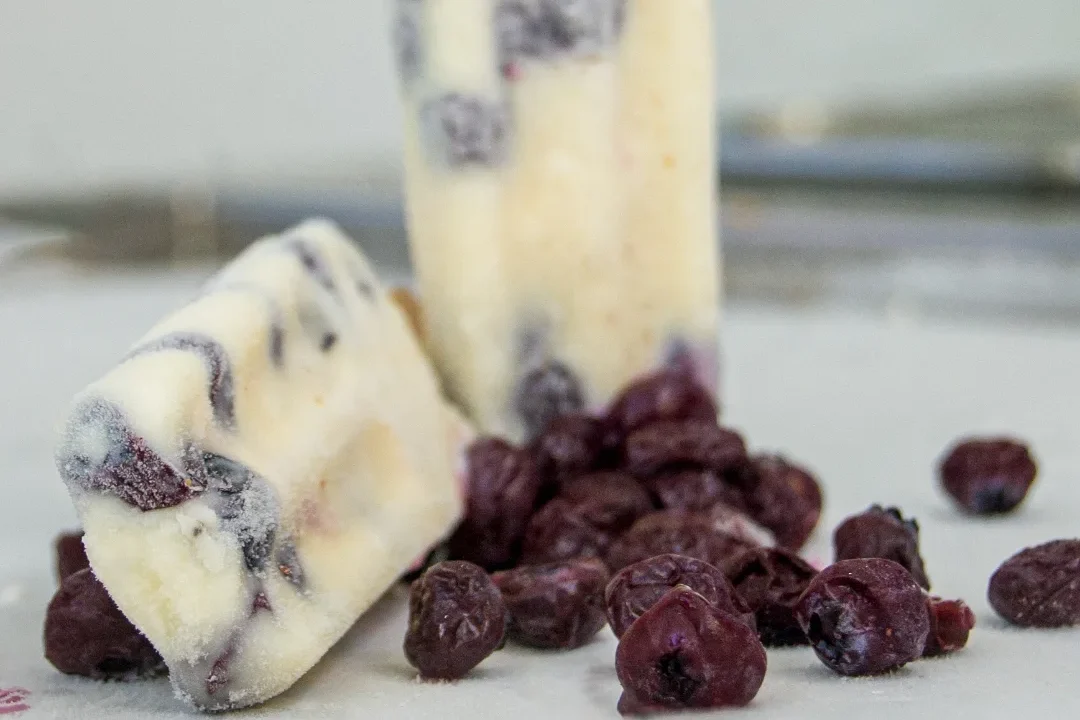 paleta de arandanos (marzo 2025)